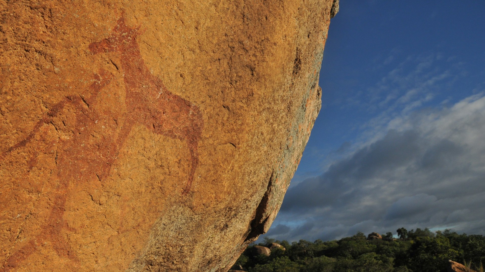 3-Länder Traumsafari